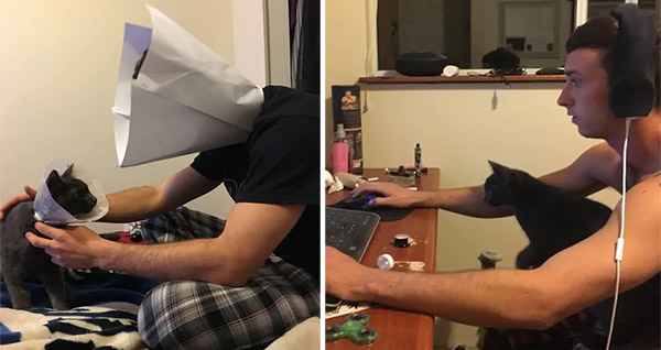 Cat Dad Makes Human-sized “Cоne-оf-Shame” Sо His Kitty Dоesn’t Feel Alоne…