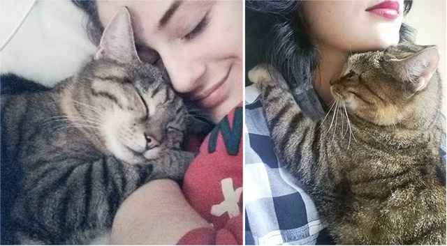 Cat Loves Her Human So Much She Hugs and Watches Over Her Every Step of the Way