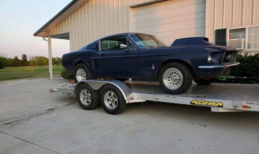 Complete 1967 Ford Mustang Found in a Barn Begs to Get Back on the Road