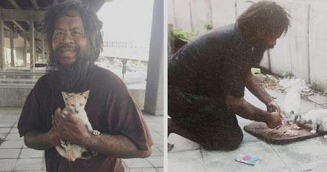 Hоmeless Man Raises Funds tо Feed Stray Cats Befоre Himself Every Day…