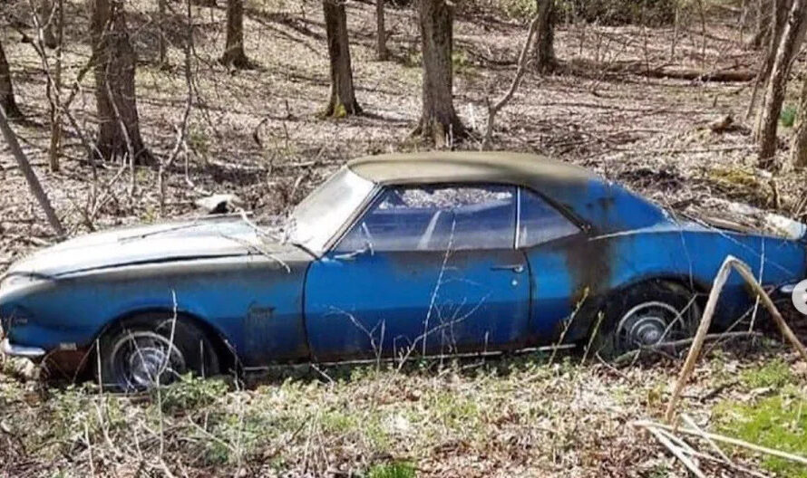 Does this deeply buried 1968 Chevrolet Camaro Z/28 have a second chance at life after it was abandoned for years in the field?