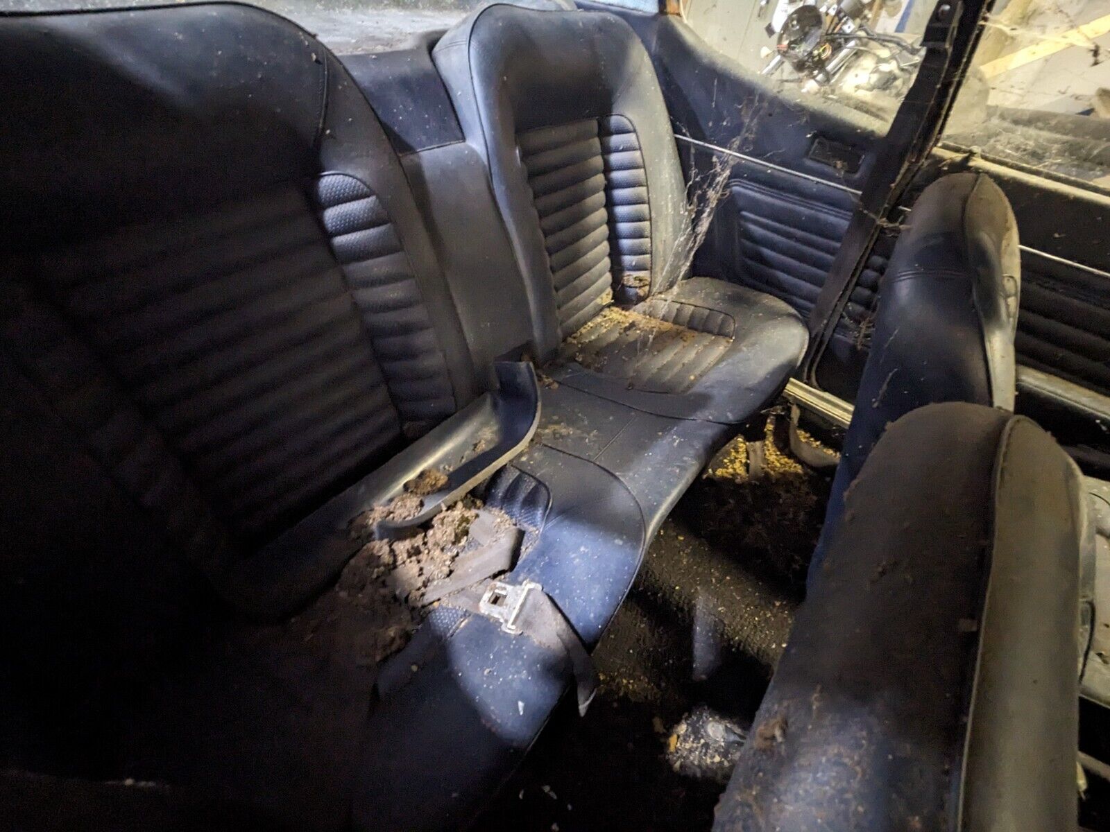 Inside, the seats are ripped and caked with dirt and cobwebs