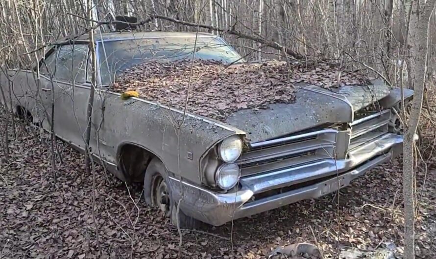 Hoard Of Abandoned Classics Found In The Woods, Includes Chevy Trucks And Pontiacs