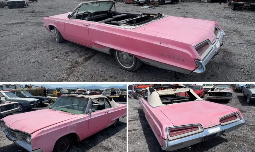 Junked 1967 Dodge Polara Convertible Looks Like a One-of-One Gem, but There’s a Catch