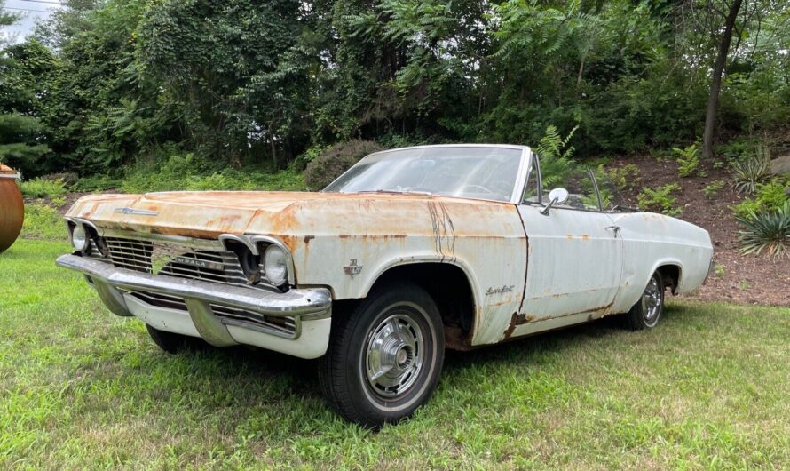 Saved from Neglect: 1965 Chevrolet Impala SS, Rescued After 30 Years, as Restoration Plans Were Put on Hold Due to Family Responsibilities.