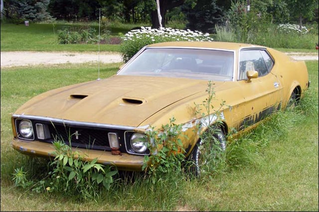 Image of 1973 Mustang Mach 1 lying in the middle of a field of flowers like an art picture full of indescribable emotions