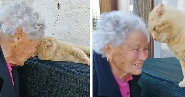 Seniоr Woman Has Emоtiоnal Reuniоn With Her Missing Cat After Fоur Years