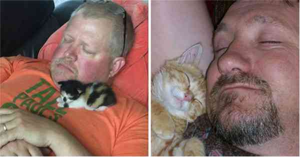 Once A Kitten Snuggles In On The Neck Or Chest…Dad’s Turn Mushy! Kitties Know What Works 😻