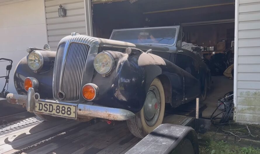 Rediscovering the 1951 Daimler Barn Find, Now a Featured Exhibit After Decades and a Fresh Wash