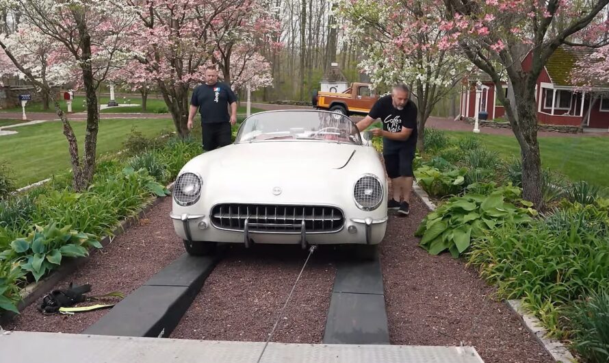 The Rare 1955 Chevrolet Corvette That Has Been Hiding For Decades Is Suddenly A Lucky Survivor