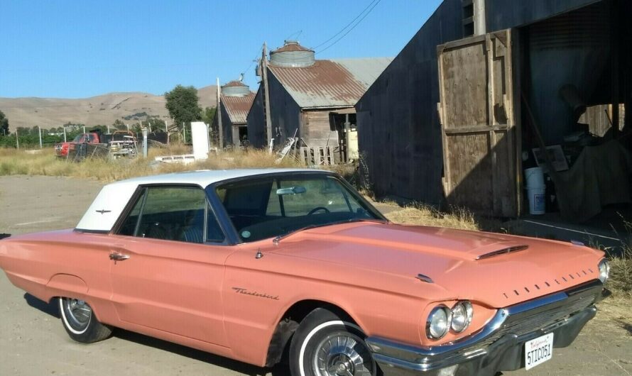 Find A Rare Barn For A 1964 Ford Thunderbird Dressed To Impress, This Samoan Coral Wonder Is Truly Worth Exploring