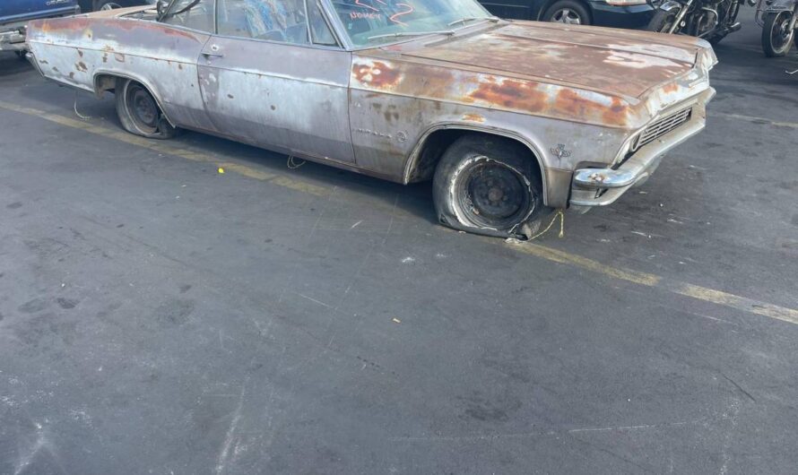 Weathered 1965 Chevrolet Impala Convertible Appears Forlorn Amidst Newer Vehicles