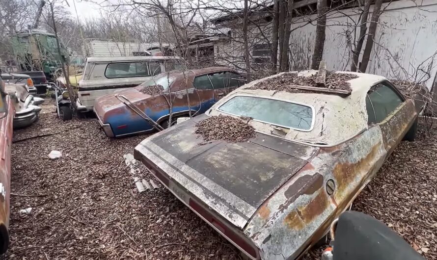 Seemingly Abandoned Property Hides Big Hoard of Dodge, Plymouth Muscle Cars