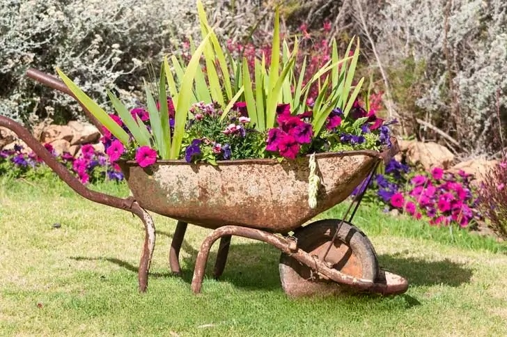 12 Creatıve Wheelbarrow Planter Ideas