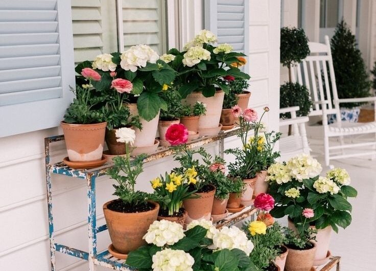 Brıllıant Ideas for Creatıve Arrangıng Plants on the Porch