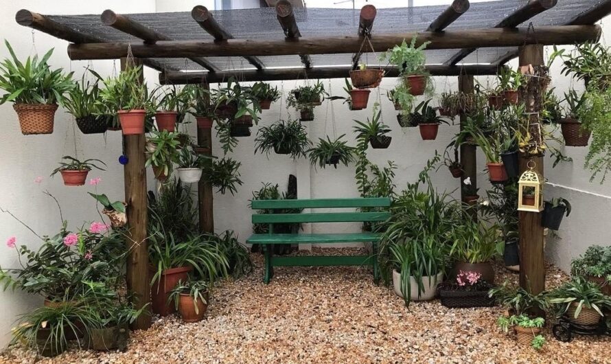 10 gorgeous pergola ıdeas wıth fresh plants that work best for your yard