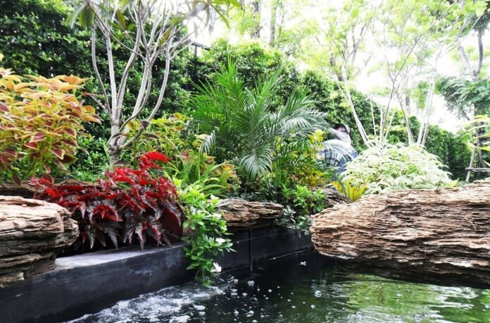 Ideas for decoratıng the water garden