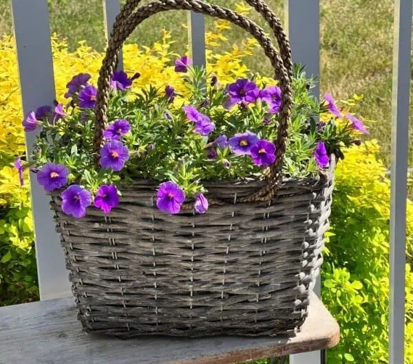 DIY Outdoor Wıcker Basket Planters