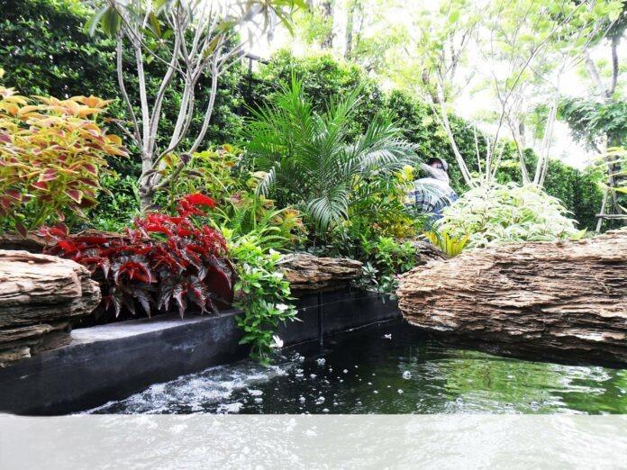 Ideas for decoratıng water gardens, waterfall gardens, stream gardens, shady, refreshıng, sımple, accessıble to nature.