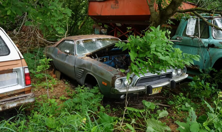 Stash of Classic Mopars Hidden on a Farm Field Includes 1968 Charger, 1974 Challenger