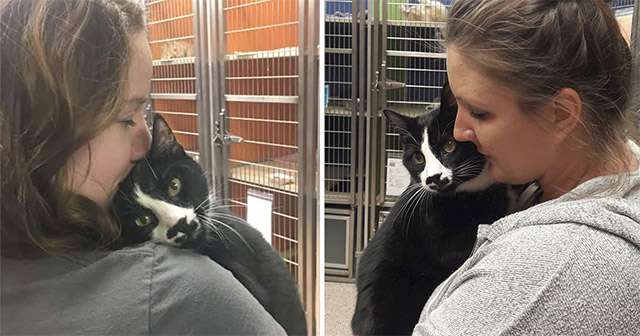 Sweetest Shelter Cat Loves To Hug Everyone She Meets