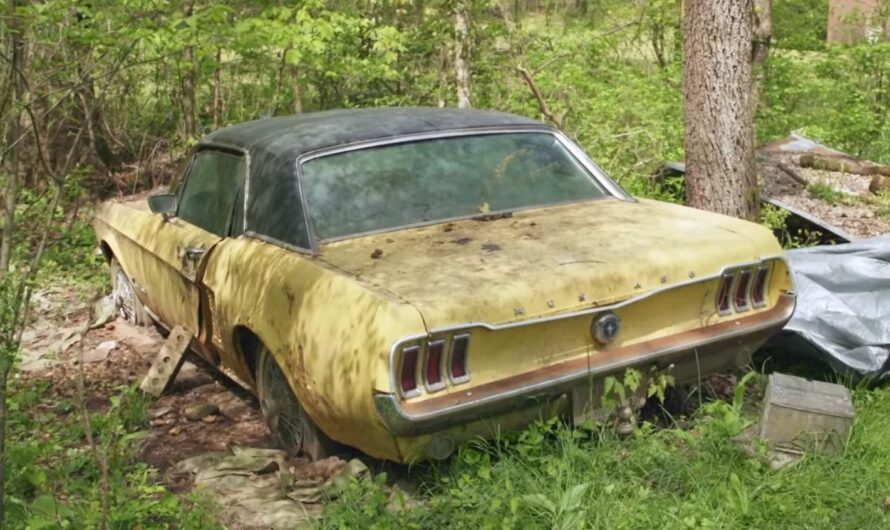 This 1967 Ford Mustang Was Dead in a Backyard, Now It’s Alive and Well After 28 Years