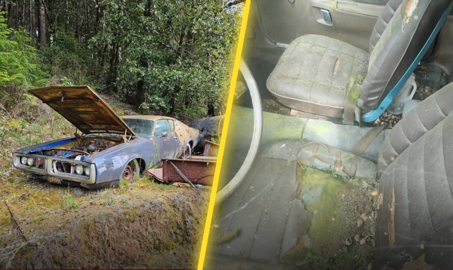 1971 Dodge Charger Found in a Forest, And Boy, It Looks Intriguing