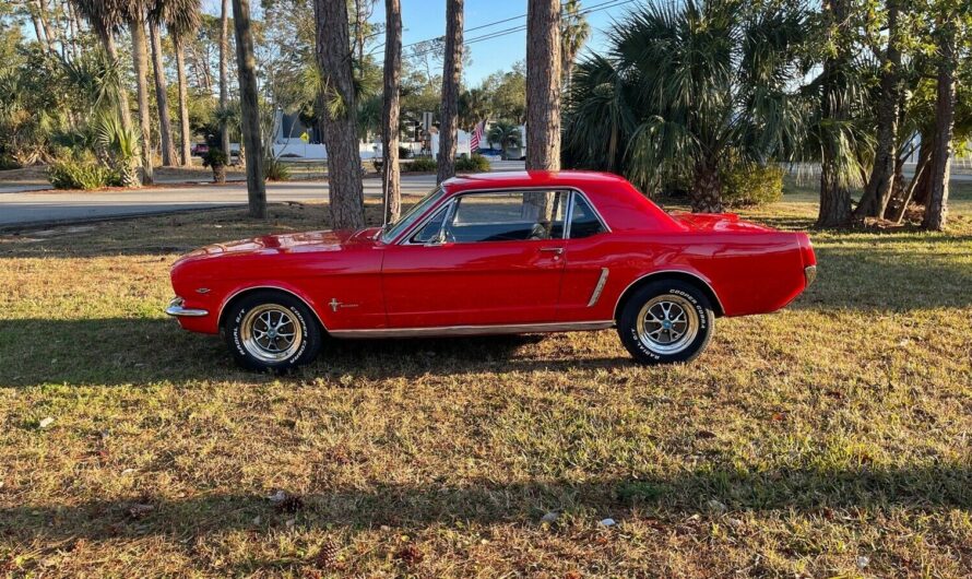 This Particular Old Mustang Was In Worrying Condition. Take A Look Inside It!