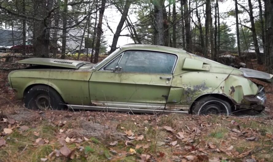 Ultra-Rare 1968 Shelby GT500KR 428 Cobra Jet Sat for 25 Years in a Field, Gets Rescued