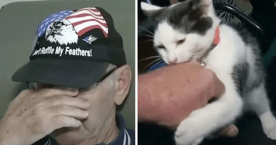 84-Year Old Man Tells An Amazing Story Of How His Cat Saved His Life