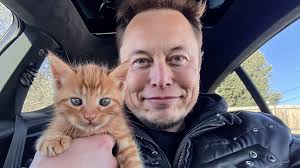 Elon Musk and his cat (V6) : r/midjourney