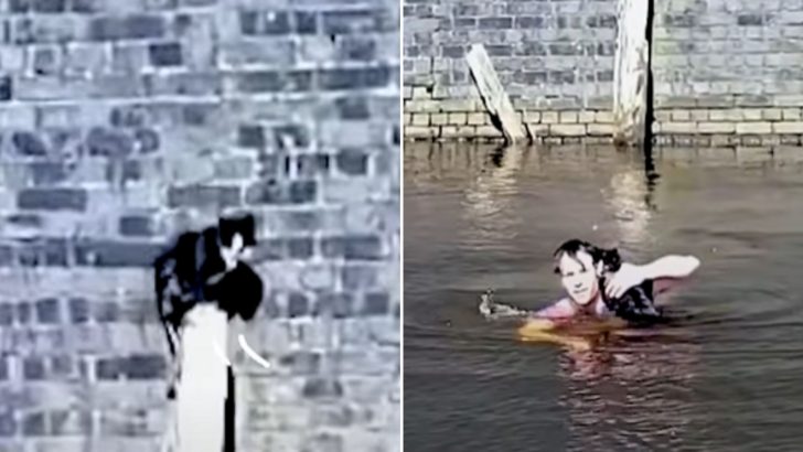 Man Sees A Cat Fall Inside A Canal And Jumps In To Rescue Her