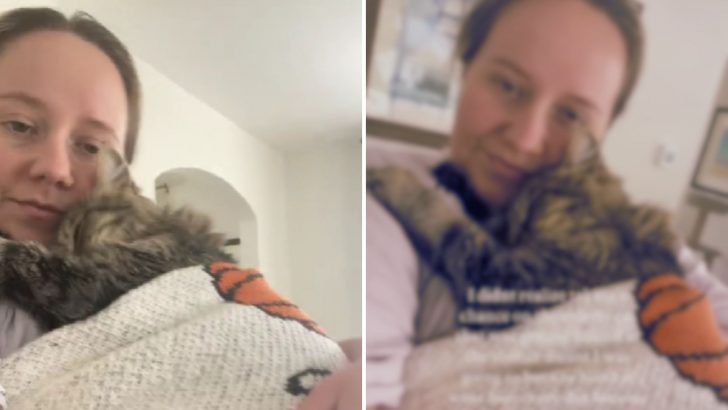 Woman Surprised After Giving A Bullied Senior Shelter Cat A Chance